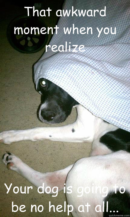 That awkward moment when you realize Your dog is going to be no help at all...  Guard Dog Fail