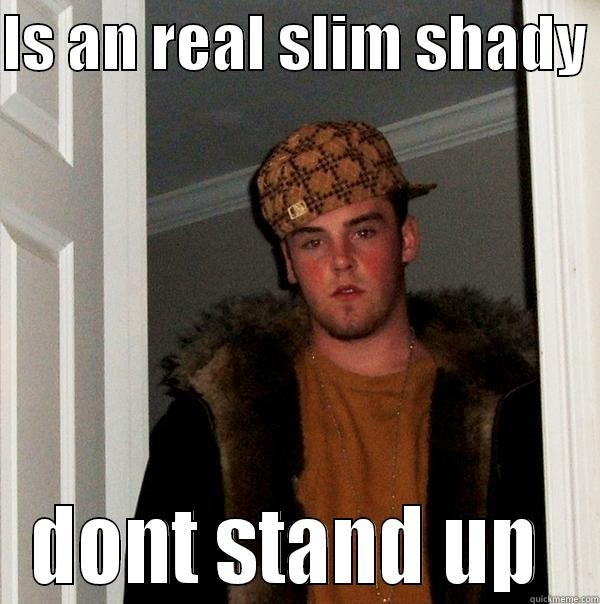 IS AN REAL SLIM SHADY  DONT STAND UP  Scumbag Steve