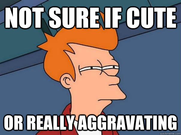 Not sure if cute Or really aggravating  Futurama Fry
