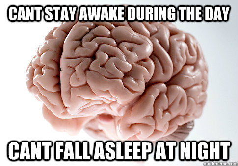 Cant stay awake during the day Cant fall asleep at night  Scumbag Brain
