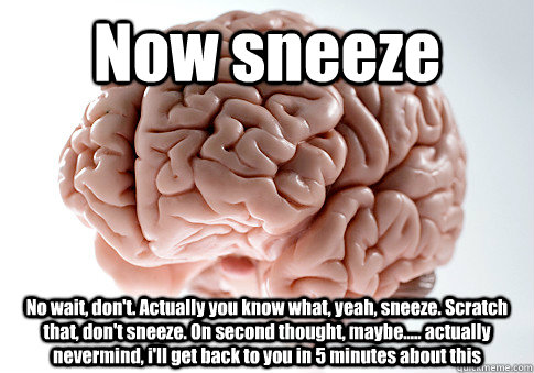 Now sneeze No wait, don't. Actually you know what, yeah, sneeze. Scratch that, don't sneeze. On second thought, maybe..... actually nevermind, i'll get back to you in 5 minutes about this - Now sneeze No wait, don't. Actually you know what, yeah, sneeze. Scratch that, don't sneeze. On second thought, maybe..... actually nevermind, i'll get back to you in 5 minutes about this  Scumbag Brain