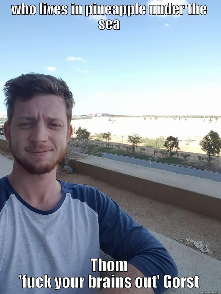 WHO LIVES IN PINEAPPLE UNDER THE SEA THOM 'FUCK YOUR BRAINS OUT' GORST Misc