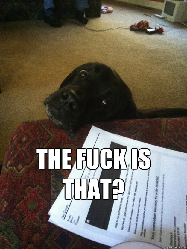  The fuck is that?  Concerned Labrador