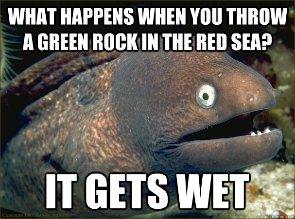 What happens when you throw a green rock in the Red Sea? It gets wet  Bad Joke Eel