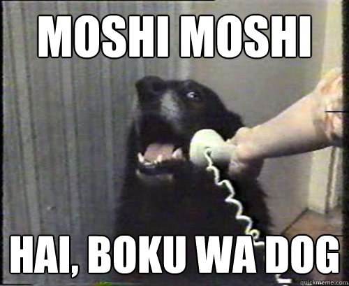 Moshi Moshi Hai, Boku wa dog - Moshi Moshi Hai, Boku wa dog  This is dog