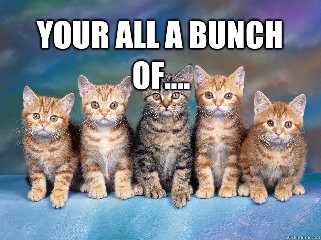 YOUR ALL A Bunch of....   