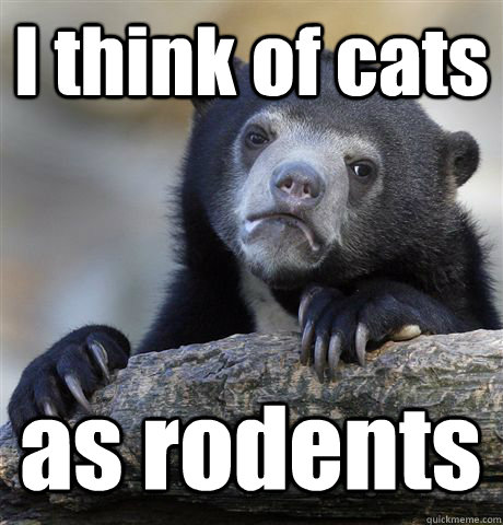 I think of cats as rodents  Confession Bear