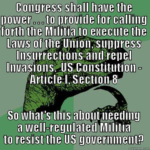 CONGRESS SHALL HAVE THE POWER . . . TO PROVIDE FOR CALLING FORTH THE MILITIA TO EXECUTE THE LAWS OF THE UNION, SUPPRESS INSURRECTIONS AND REPEL INVASIONS.  US CONSTITUTION - ARTICLE I, SECTION 8 SO WHAT'S THIS ABOUT NEEDING A WELL-REGULATED MILITIA TO RESIST THE US GOVERNMENT? Philosoraptor