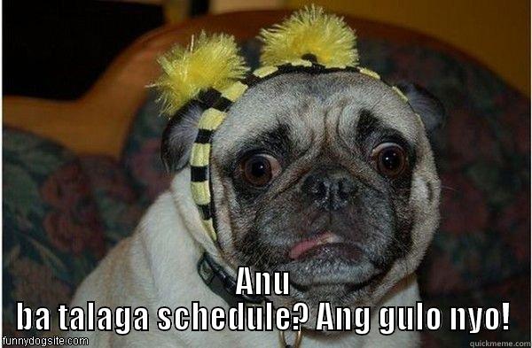  ANU BA TALAGA SCHEDULE? ANG GULO NYO! Misc
