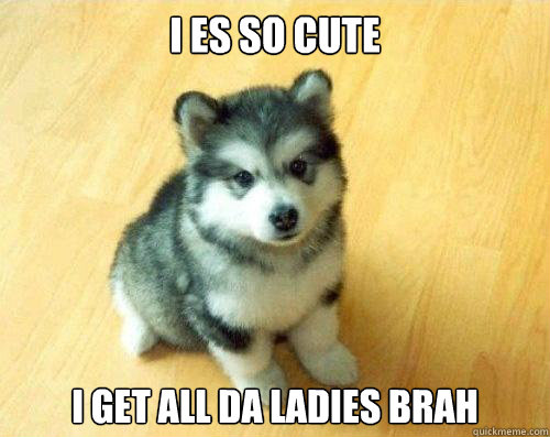 I es so cute I get all da ladies brAH  Baby Courage Wolf