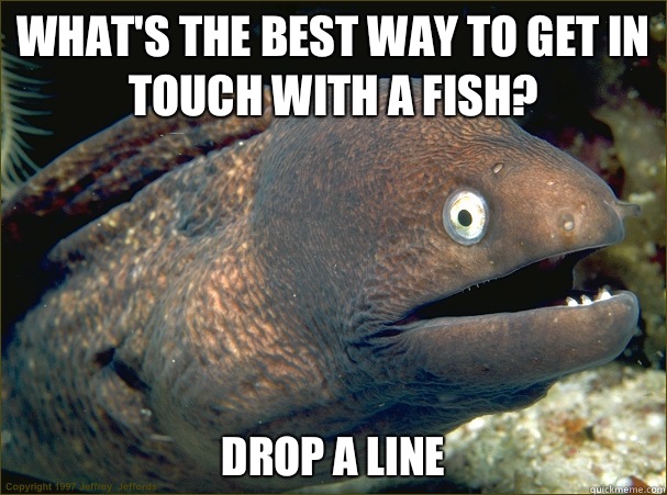 What's the best way to get in touch with a fish? Drop a line  Bad Joke Eel