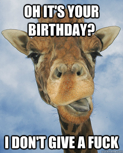 Oh it's your birthday? I don't give a fuck - Oh it's your birthday? I don't give a fuck  Bad Sarcasm Giraffe