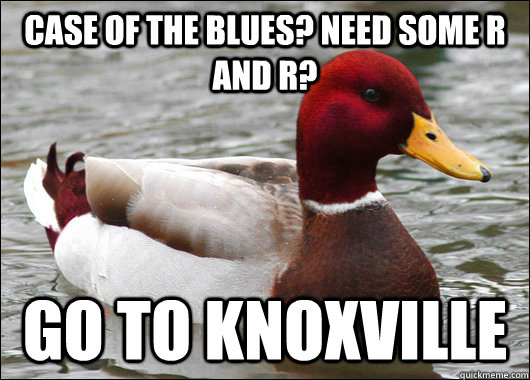Case of the blues? need some R and R? Go to Knoxville  Malicious Advice Mallard