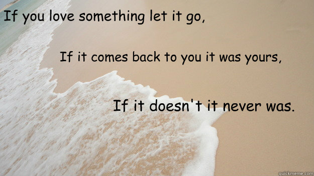 If you love something let it go, If it comes back to you it...