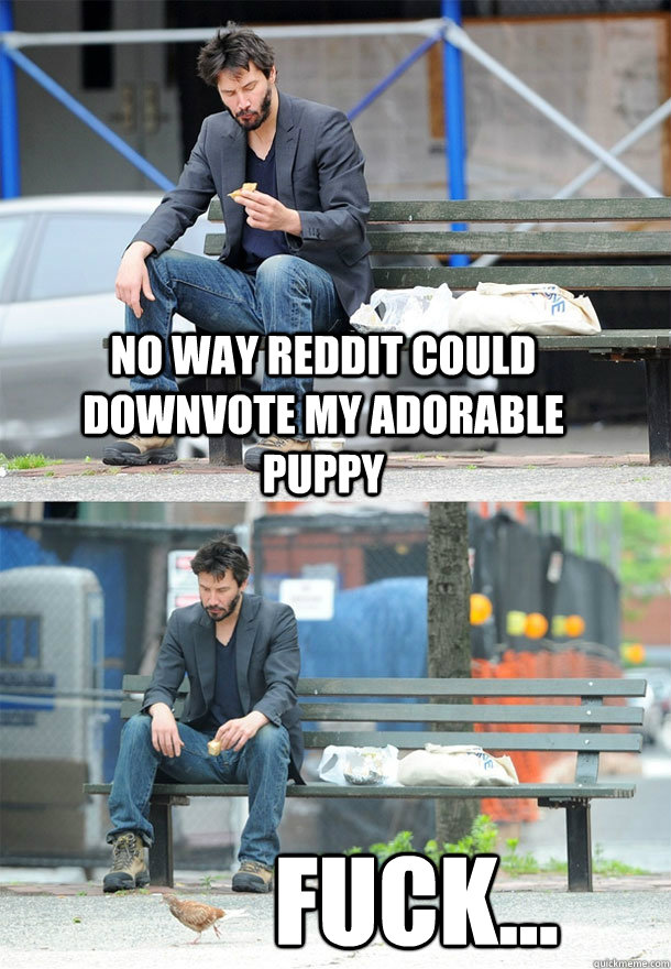 No way reddit could downvote my adorable puppy Fuck... - No way reddit could downvote my adorable puppy Fuck...  Sad Keanu