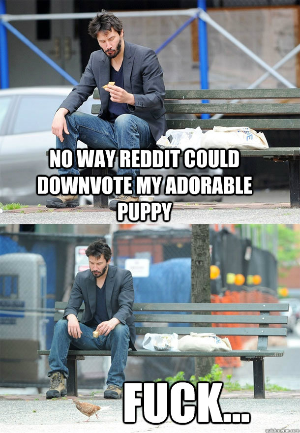 No way reddit could downvote my adorable puppy Fuck...  Sad Keanu