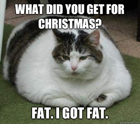 What did you get for Christmas?  Fat. I got fat.  - What did you get for Christmas?  Fat. I got fat.   Fatcat