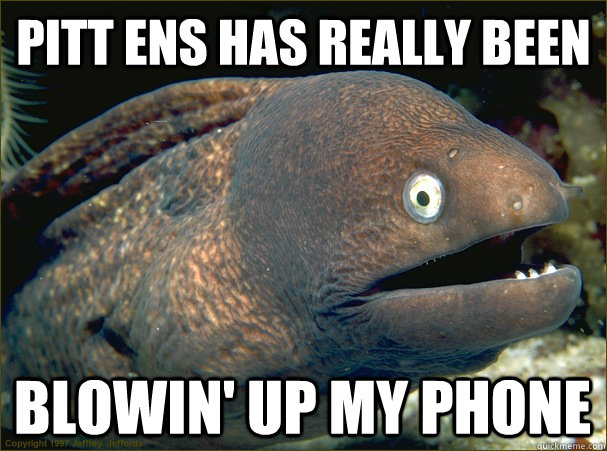 pitt ens has really been blowin' up my phone  Bad Joke Eel