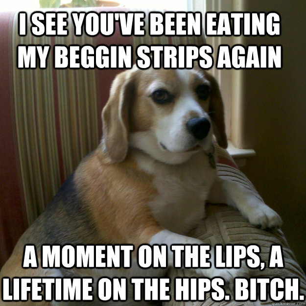 I see you've been eating my beggin strips again a moment on the lips, a lifetime on the hips. bitch. - I see you've been eating my beggin strips again a moment on the lips, a lifetime on the hips. bitch.  judgmental dog