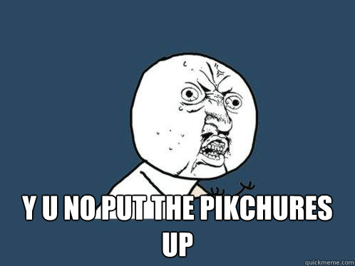  y u no put the pikchures up  Y U No