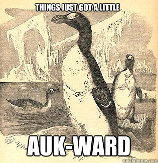 Things just got a little Auk-ward - Things just got a little Auk-ward  Misc
