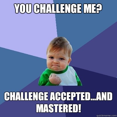 You challenge me? Challenge accepted...and mastered!  Success Kid