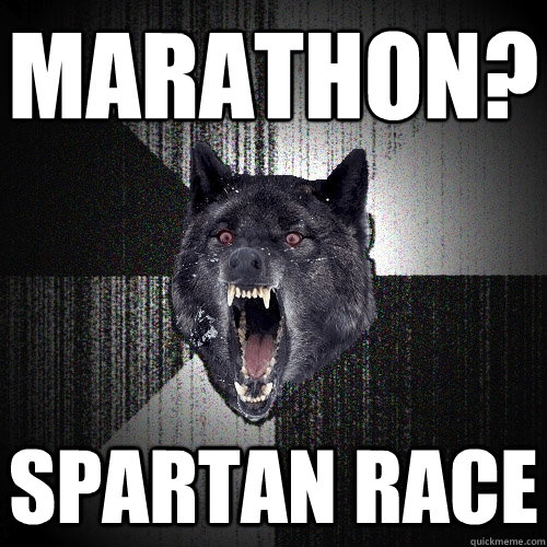 Marathon? Spartan Race  Insanity Wolf