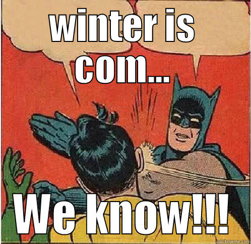 WINTER IS COM... WE KNOW!!! Batman Slapping Robin