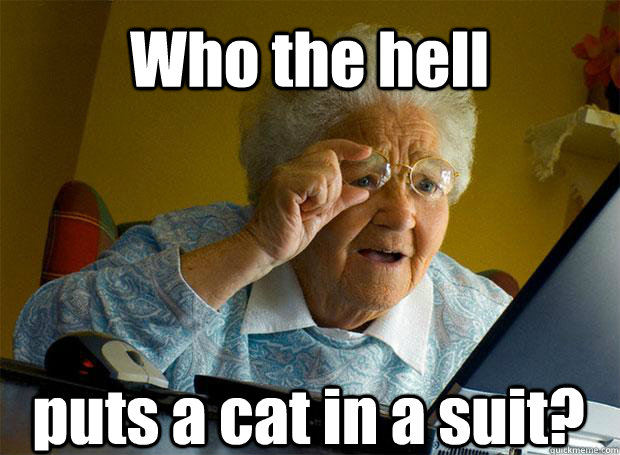 Who the hell puts a cat in a suit?   Caption 5 goes here  Grandma finds the Internet