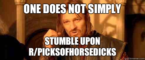 One does not simply Stumble upon r/picksofhorsedicks  One Does Not Simply