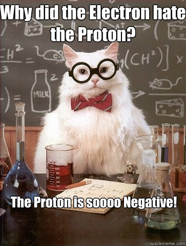 Why did the Electron hate the Proton? The Proton is soooo Negative!  Chemistry Cat