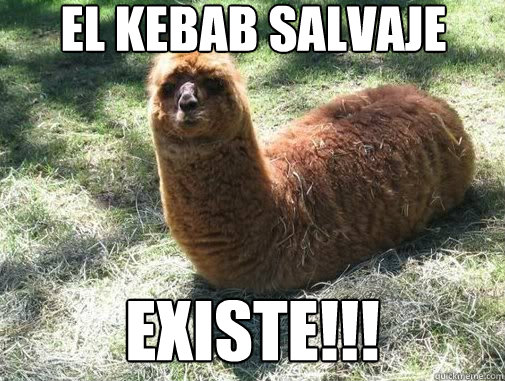 El kebab salvaje existe!!! - El kebab salvaje existe!!!  Alpacapillar