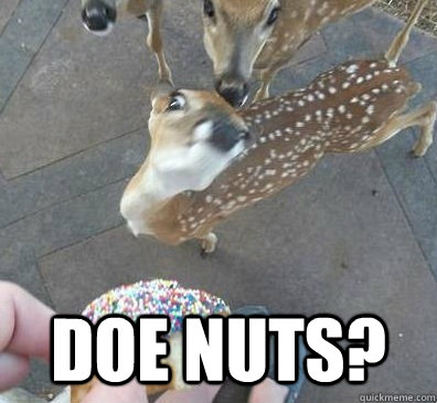  DOE NUTS? -  DOE NUTS?  skeptical deer
