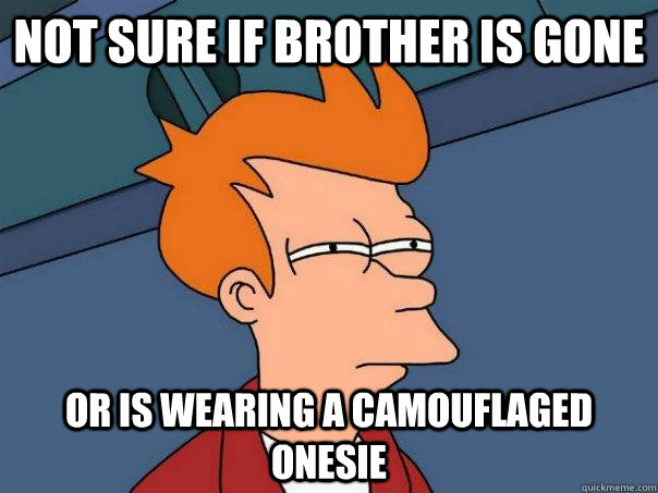 Not sure if brother is gone Or is wearing a camouflaged onesie    Futurama Fry