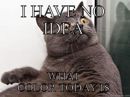 I HAVE NO IDEA WHAT COLOR TODAY IS conspiracy cat