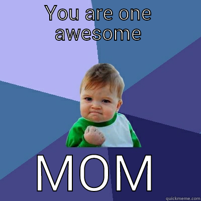 YOU ARE ONE AWESOME MOM Success Kid