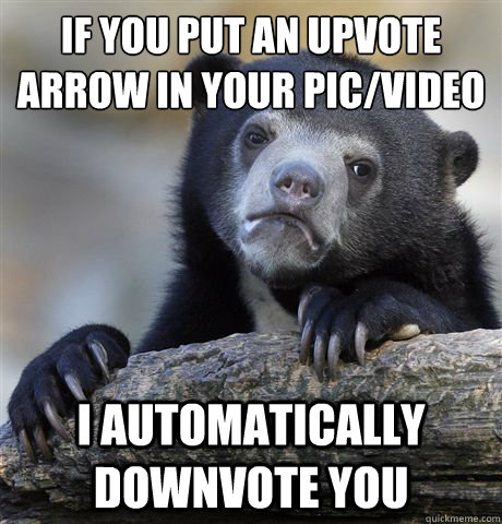 If you put an upvote arrow in your pic/video I automatically downvote you  Confession Bear
