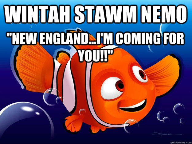 wintah stawm nemo 