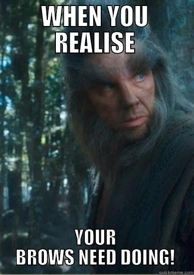 WHEN YOU REALISE YOUR BROWS NEED DOING! Misc