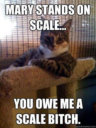 Mary stands on scale... you owe me a scale bitch.  The Most Interesting Cat in the World