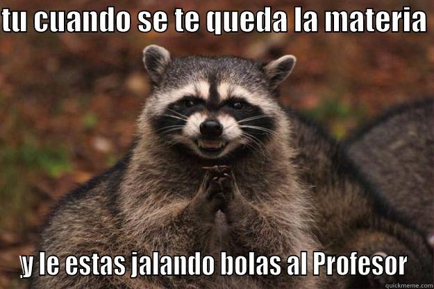 TU CUANDO SE TE QUEDA LA MATERIA  Y LE ESTAS JALANDO BOLAS AL PROFESOR Evil Plotting Raccoon