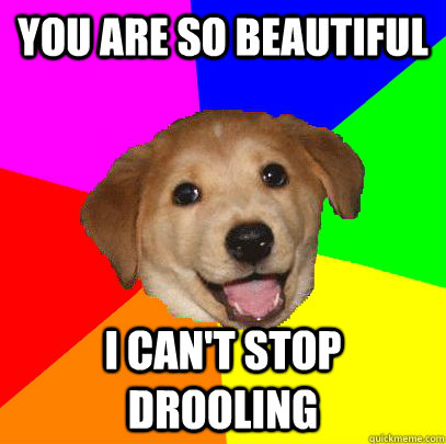 You Are So Beautiful I can't stop drooling  Advice Dog