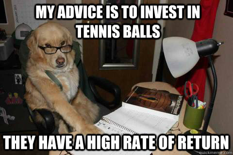 My advice is to invest in tennis balls They have a high rate of return  Financial Advice Dog