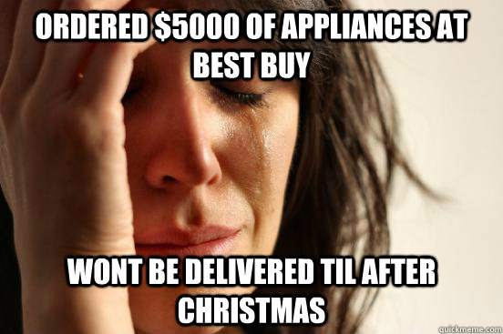 ordered $5000 of appliances at best buy wont be delivered til after christmas  First World Problems