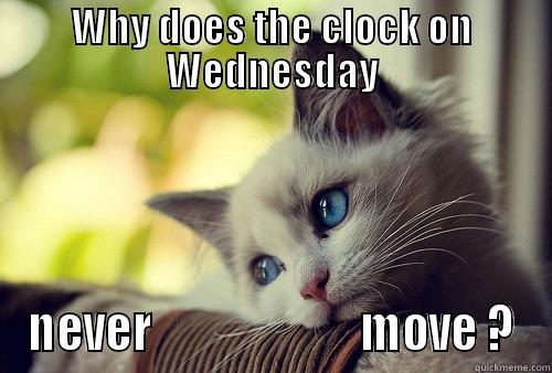 Hump Day Cat - WHY DOES THE CLOCK ON WEDNESDAY NEVER                       MOVE ? First World Problems Cat