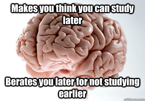 Makes you think you can study later Berates you later for not studying earlier   Scumbag Brain