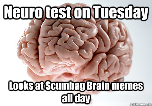 Neuro test on Tuesday Looks at Scumbag Brain memes all day  - Neuro test on Tuesday Looks at Scumbag Brain memes all day   Scumbag Brain