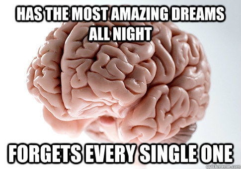 Has the most amazing dreams all night forgets every single one - Has the most amazing dreams all night forgets every single one  Scumbag Brain