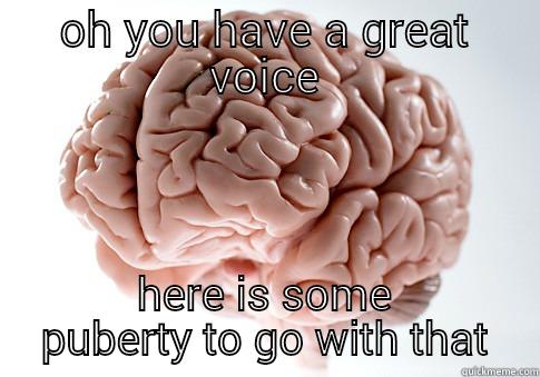 OH YOU HAVE A GREAT VOICE HERE IS SOME PUBERTY TO GO WITH THAT Scumbag Brain