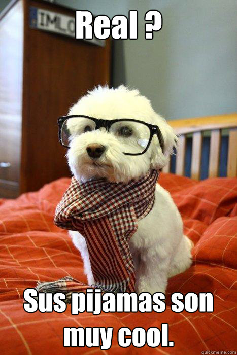 Real ? Sus pijamas son muy cool. - Real ? Sus pijamas son muy cool.  Hipster Dog